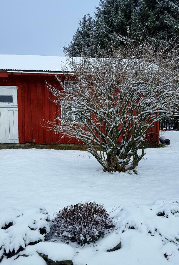 Kjorsvik Ovre Apartment Tornes Luaran gambar