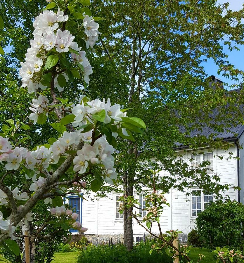 Kjorsvik Ovre Apartment Tornes Luaran gambar